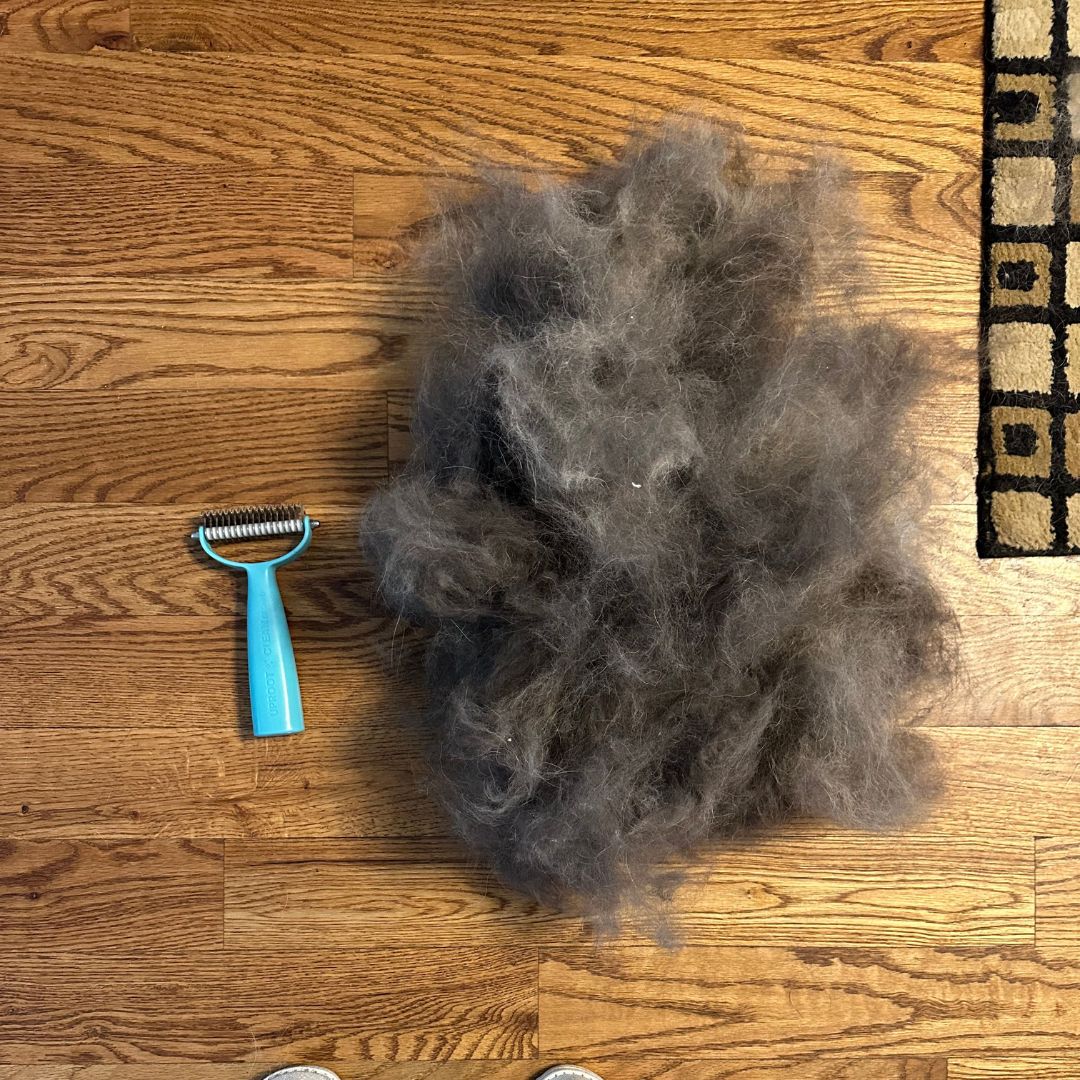 Uproot Cat and Dog Brush - Image 5