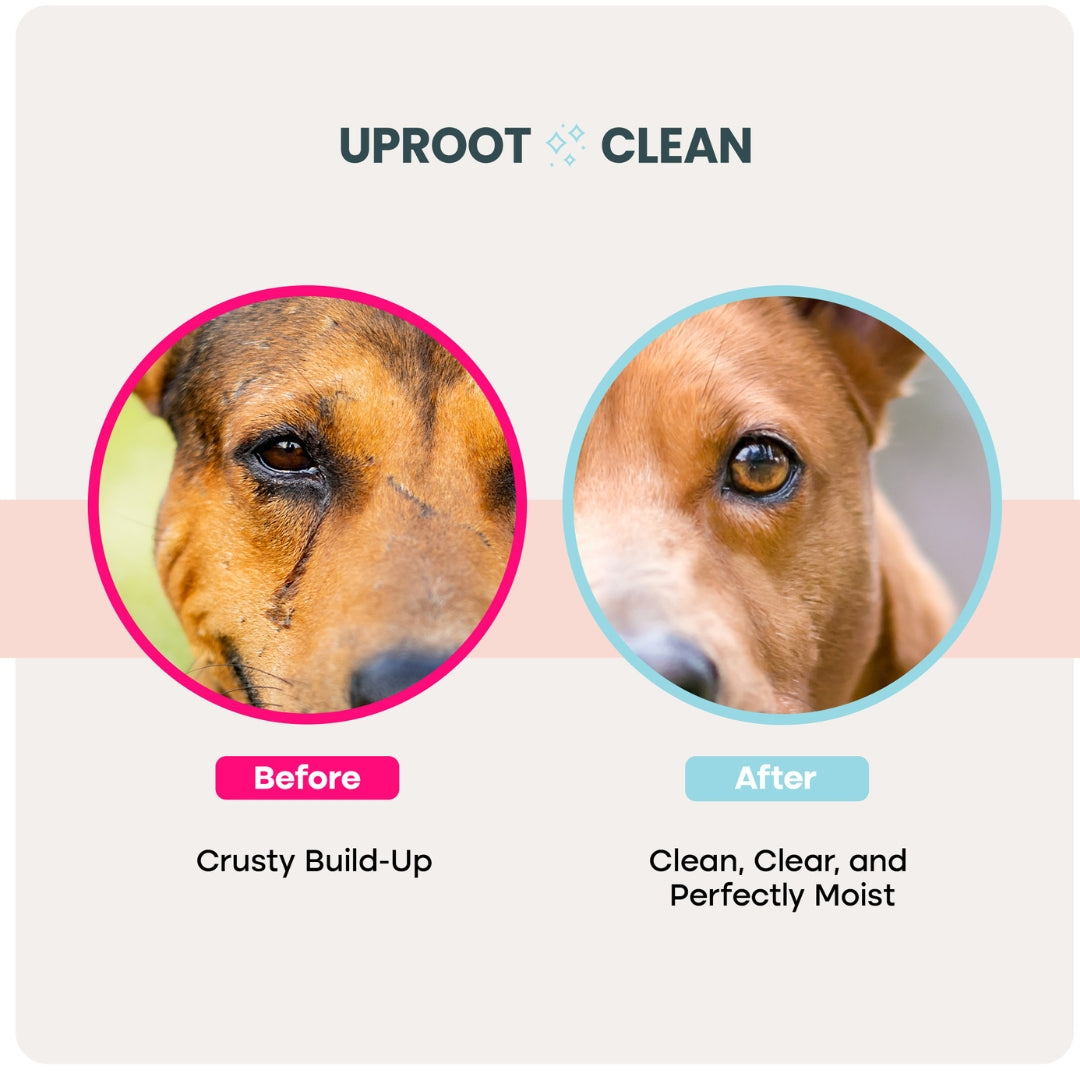 Uproot Pet Care Bundle - Image 7