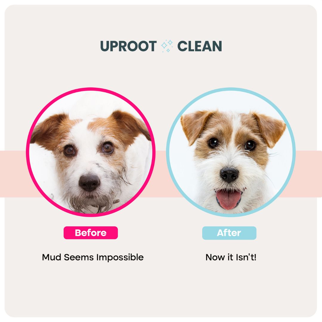 Uproot Pet Care Bundle - Image 9