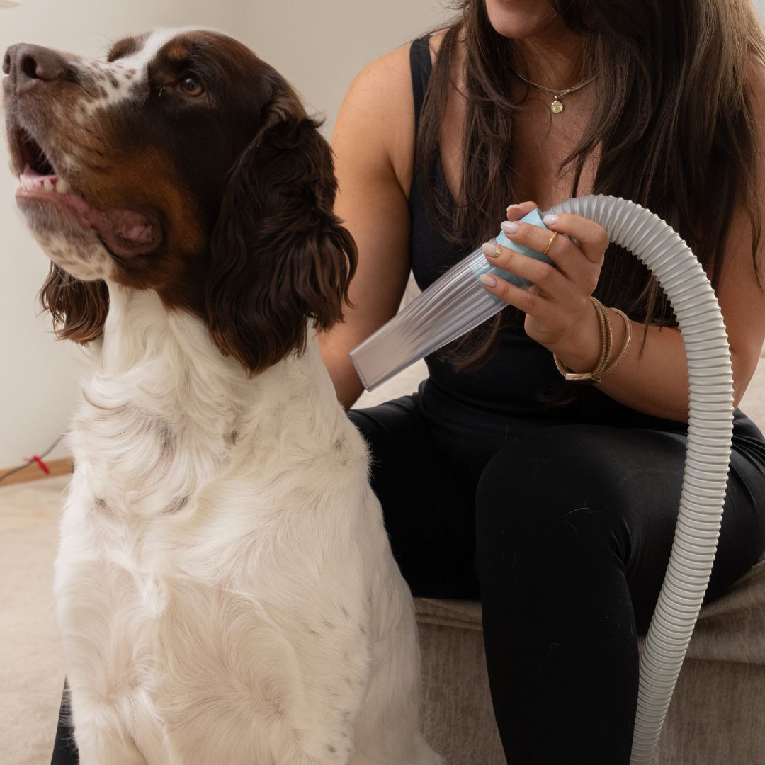 Uproot Pet Grooming Kit - Image 17