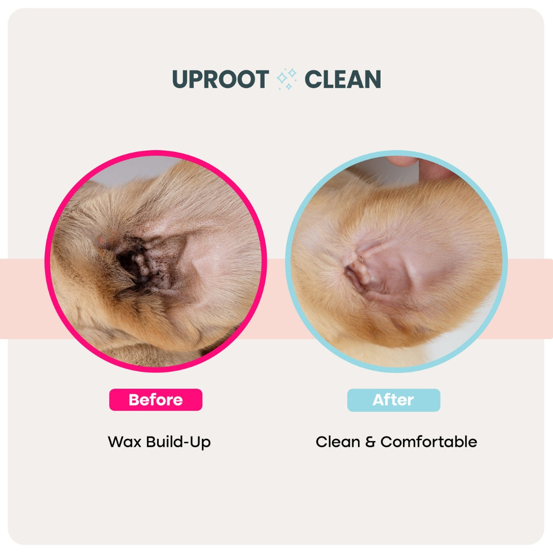 Uproot Pet Care Bundle - Image 3