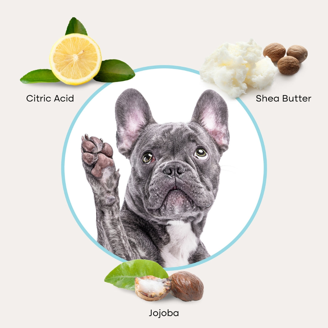Uproot Pet Care Bundle - Image 10