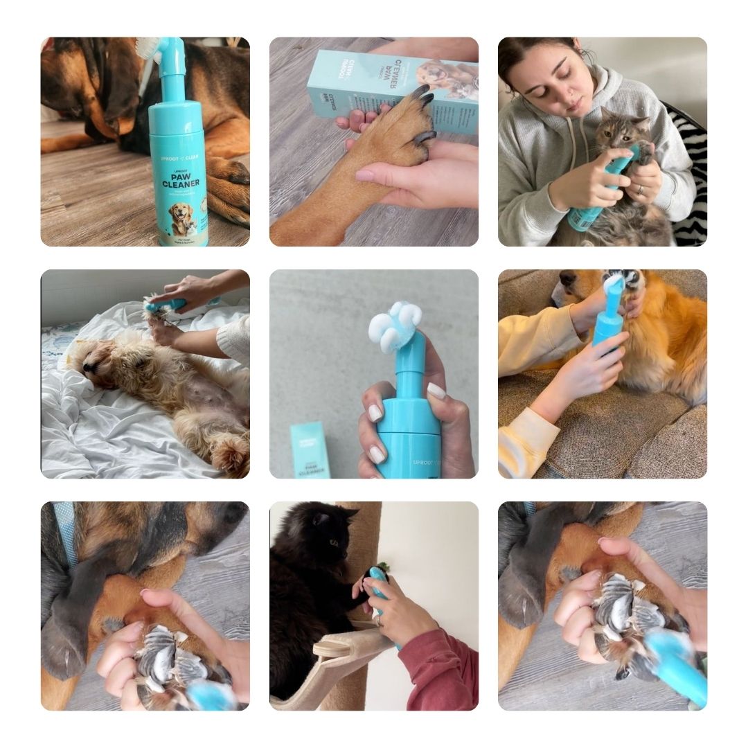 Uproot Pet Care Bundle - Image 11
