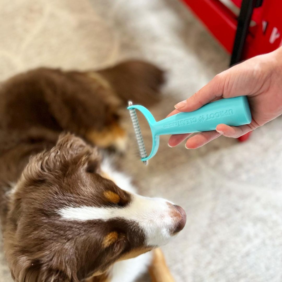 Uproot Cat and Dog Brush - Image 9