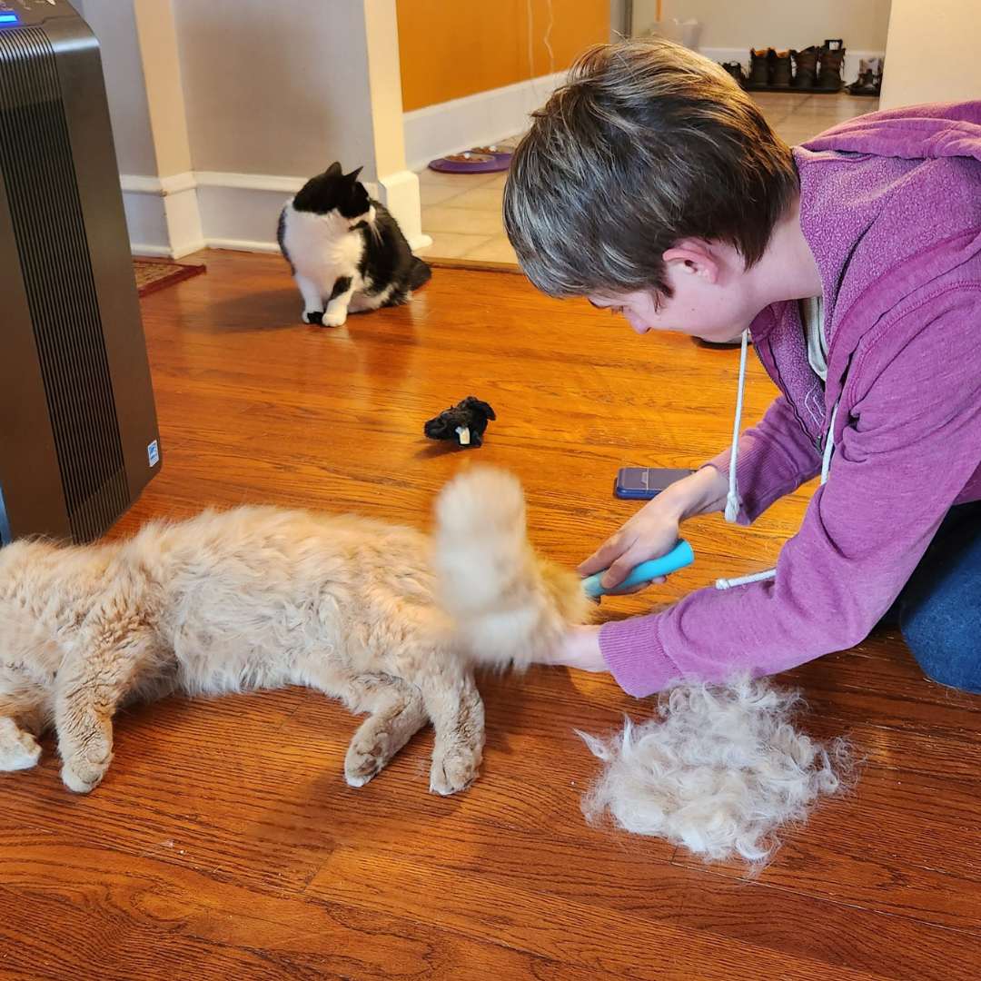 Uproot Cleaner Kits™ - Image 8